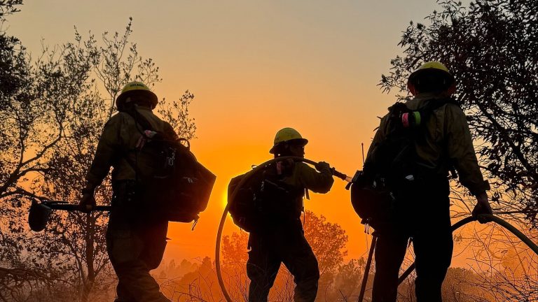 Vatrogasci u gašenju šumskog požara, ilustracija uz tekst o požarima u regionu