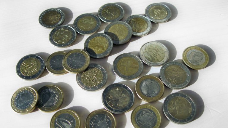 Euro kovanice
